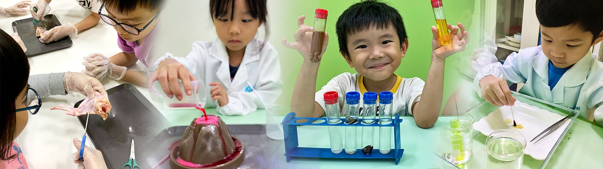 Junior Science